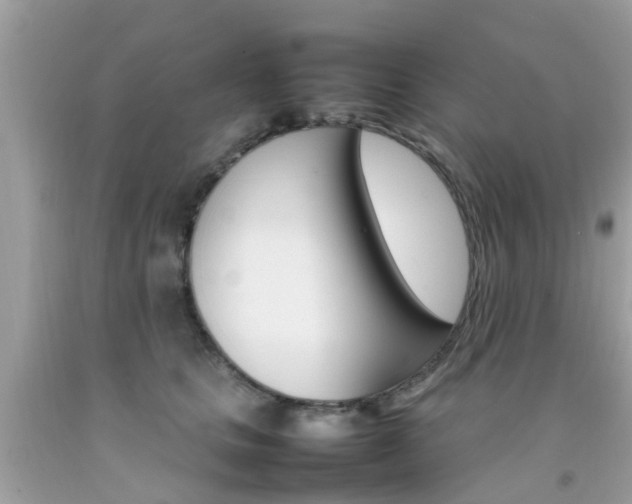 X0000092090661200709121127
