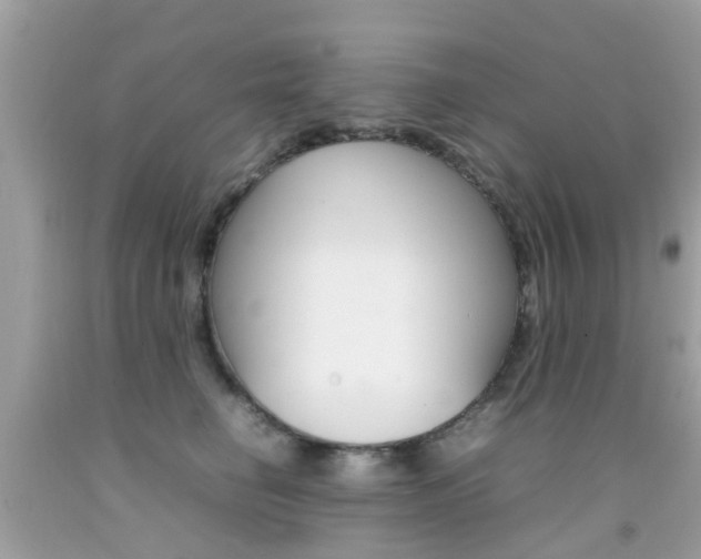 X0000092090662200709121127