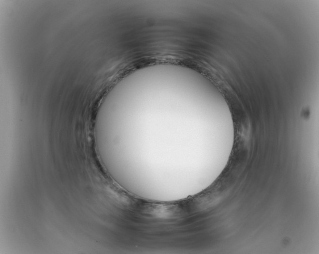 X0000092090663200709121127