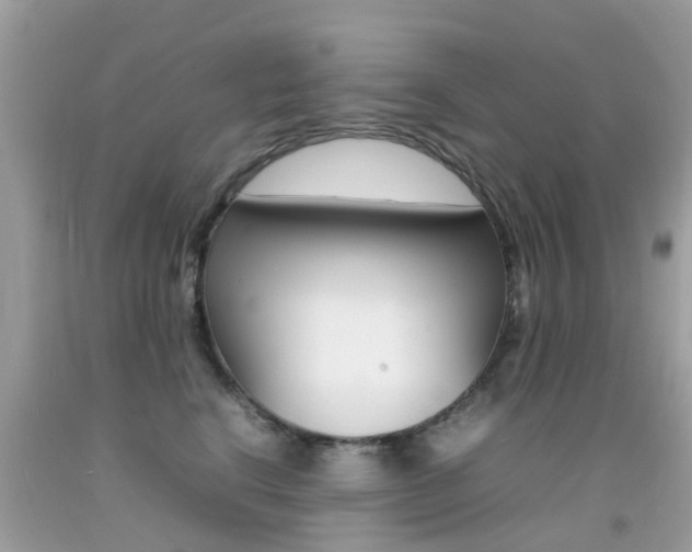 X0000092090664200709121127