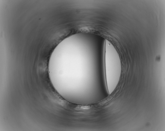 X0000092090665200709121127