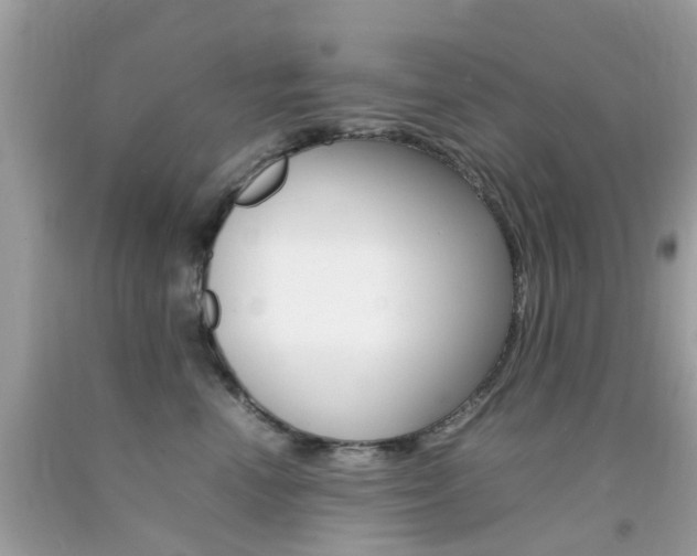 X0000092090666200709121127