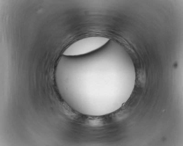 X0000092090667200709121127