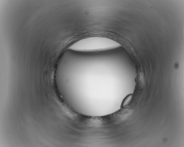 X0000092090668200709121127