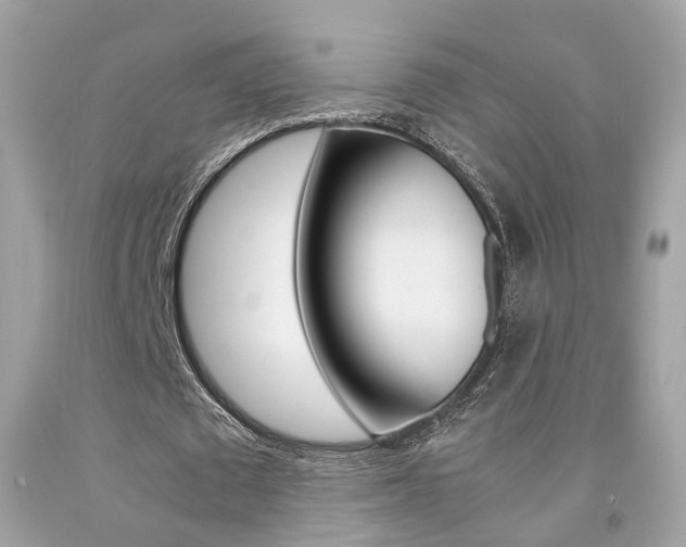 X0000092090673200709121126