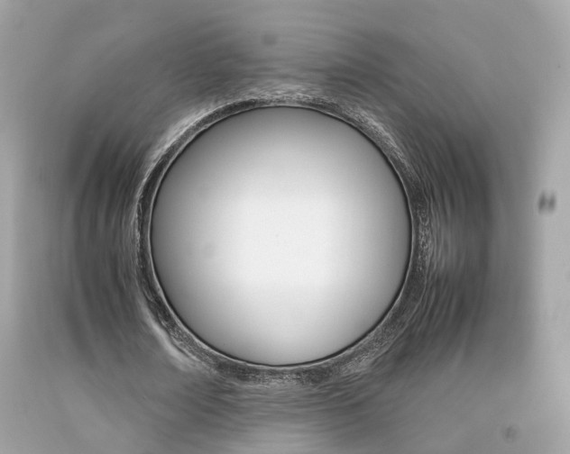 X0000092090674200709121126