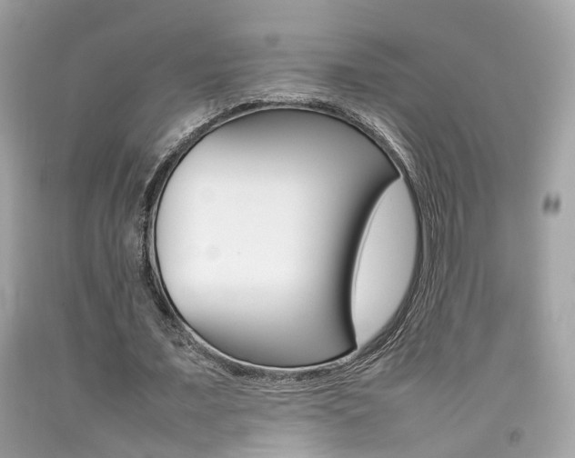X0000092090675200709121126
