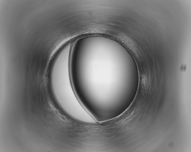 X0000092090676200709121126