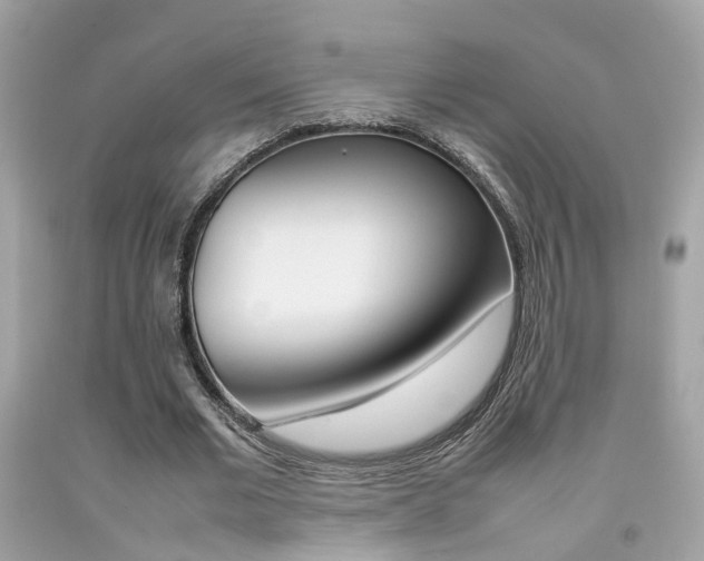 X0000092090677200709121126