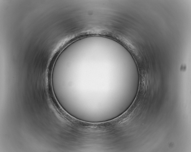X0000092090678200709121126