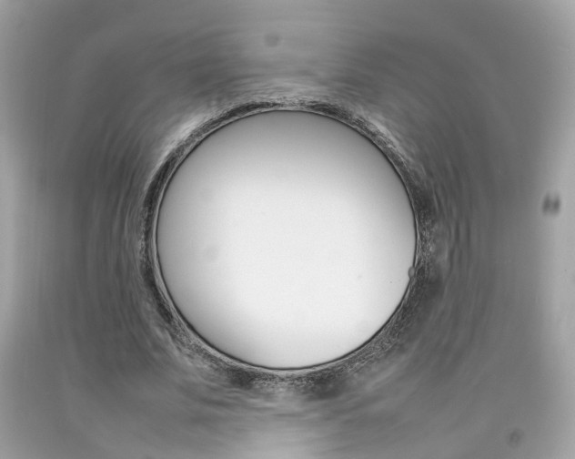 X0000092090679200709121126