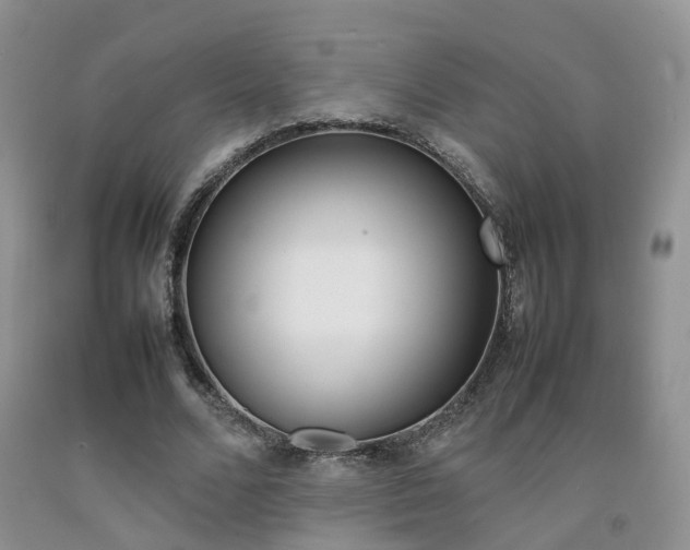 X0000092090680200709121126