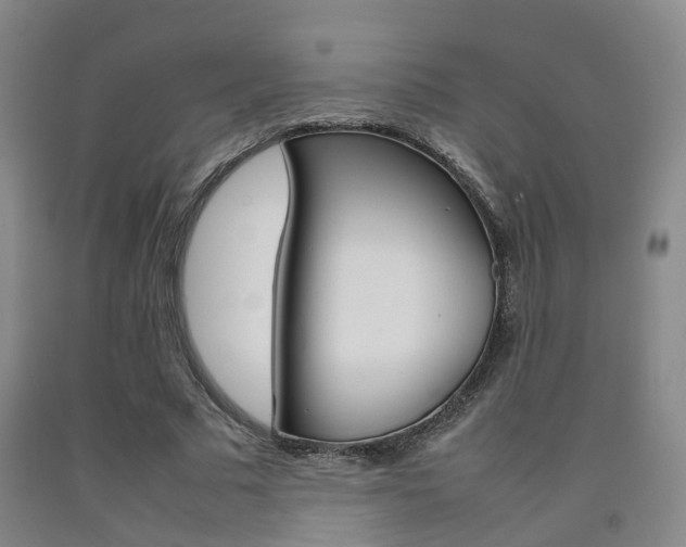 X0000092090681200709121126