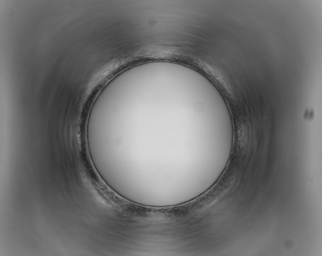 X0000092090682200709121126