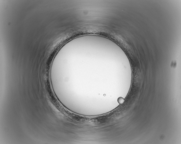 X0000092090683200709121126