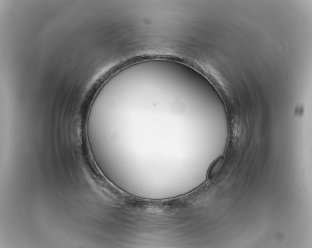 X0000092090684200709121126