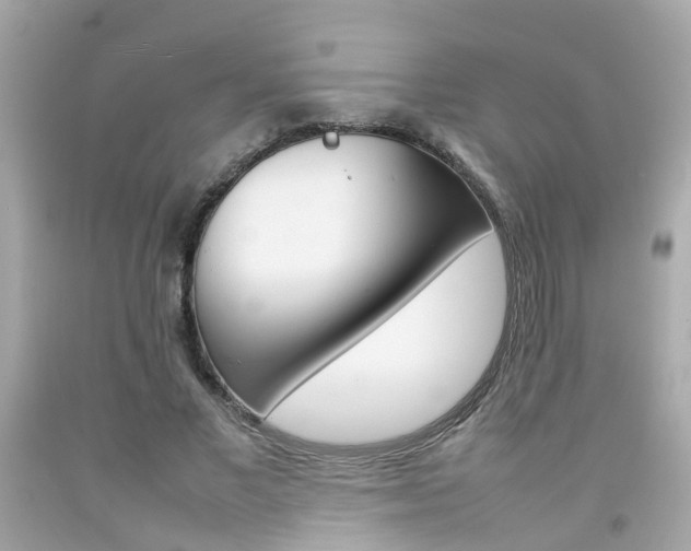 X0000092090685200709121126