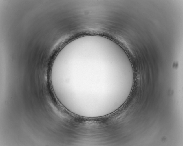 X0000092090686200709121126