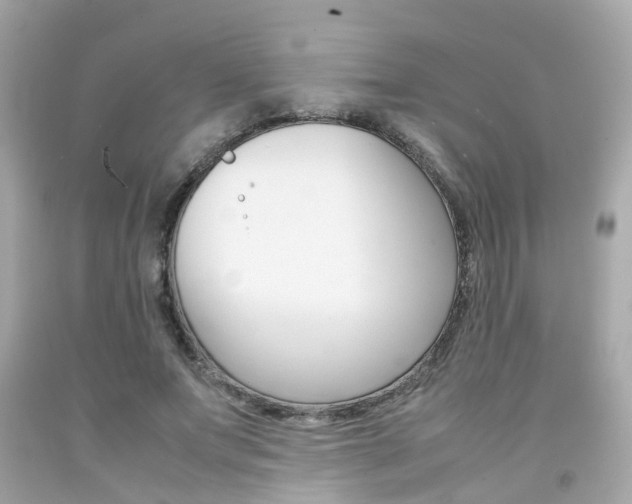 X0000092090687200709121126