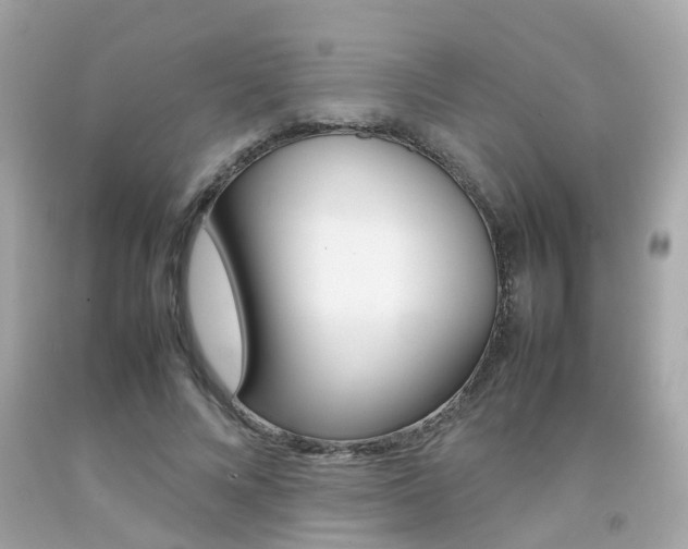X0000092090688200709121126