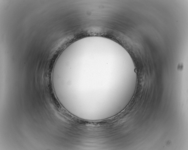 X0000092090690200709121126