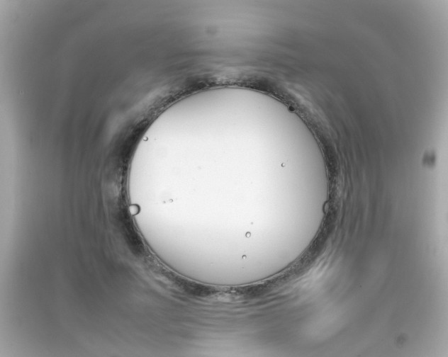 X0000092090691200709121126