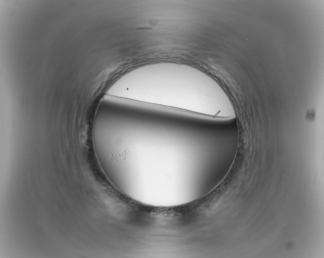 X0000092090693200709121126