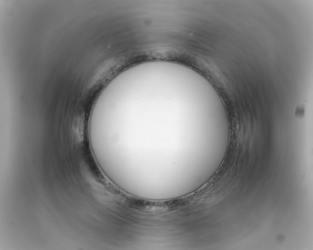 X0000092090694200709121126