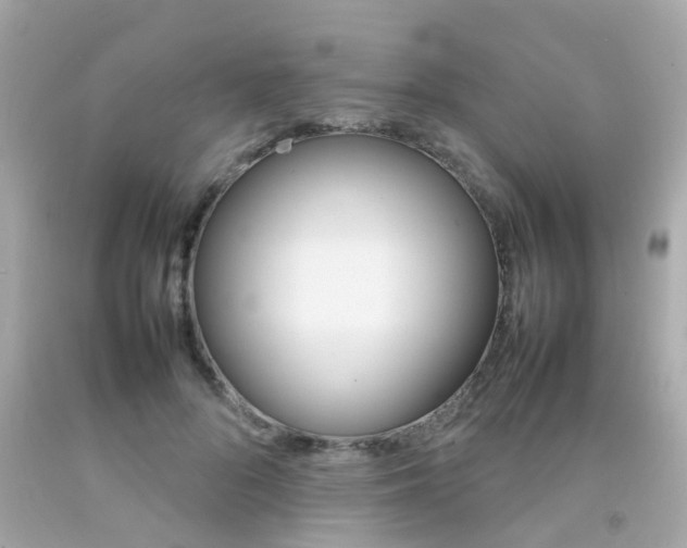 X0000092090696200709121126