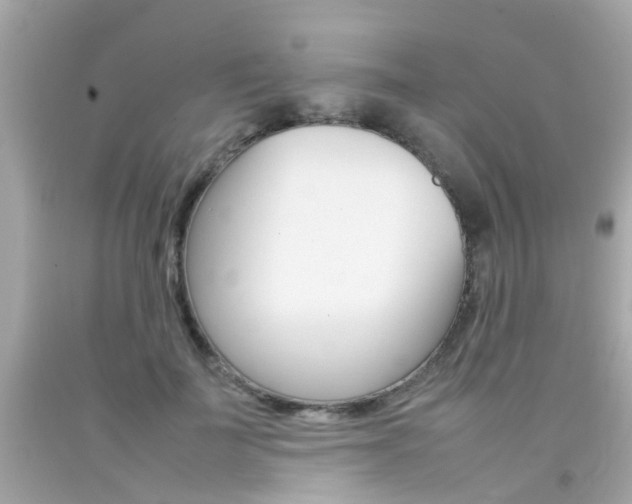X0000092090699200709121126
