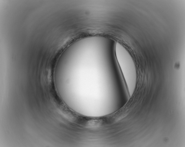 X0000092090700200709121126