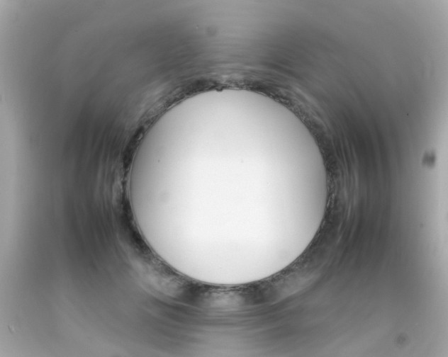 X0000092090702200709121126