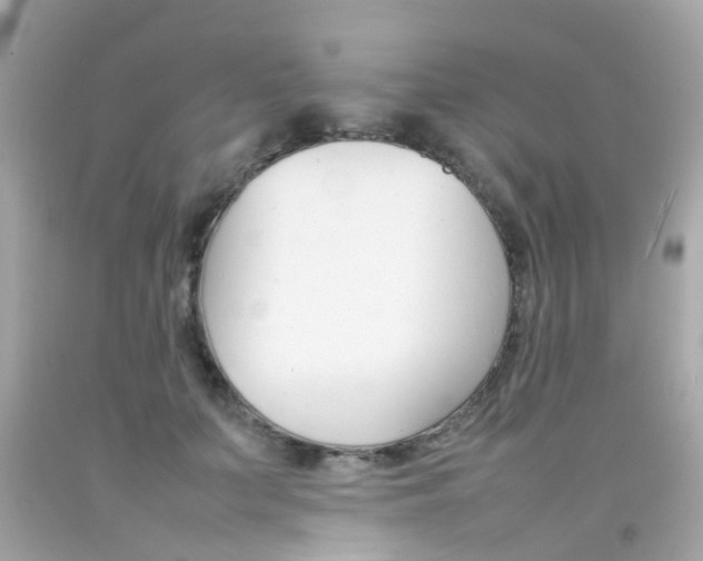 X0000092090703200709121126