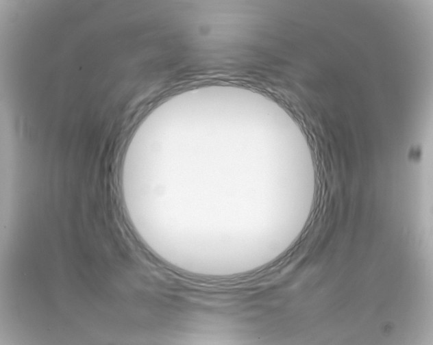 X0000092090705200709121126