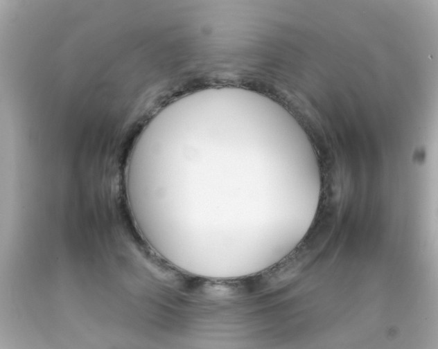 X0000092090706200709121126