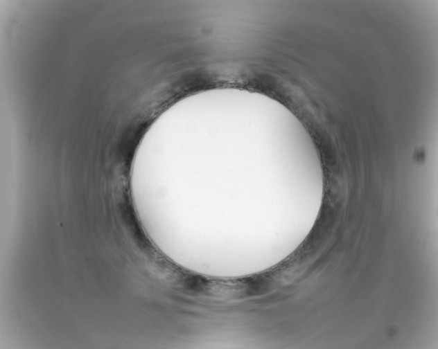 X0000092090707200709121126
