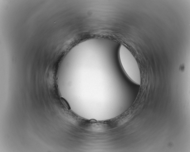 X0000092090708200709121126