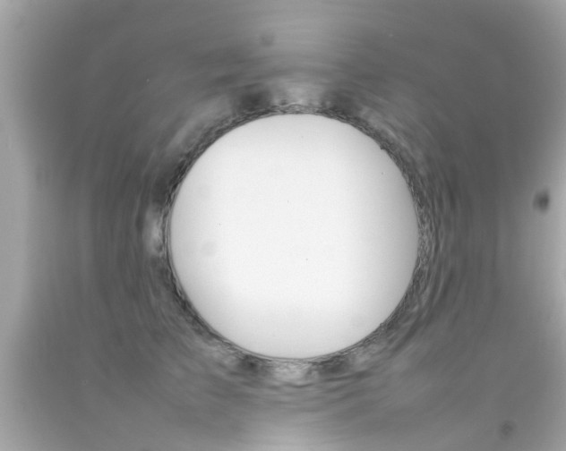X0000092090709200709121126