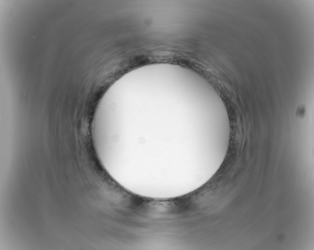 X0000092090711200709121126