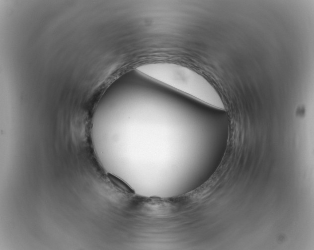 X0000092090712200709121126