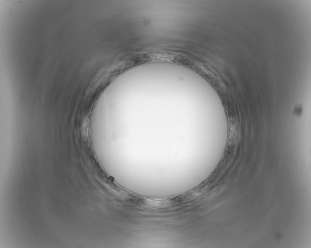 X0000092090713200709121126