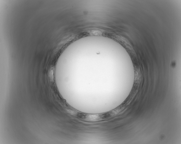X0000092090717200709121126