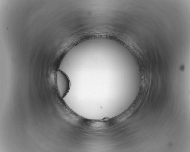 X0000092090718200709121126