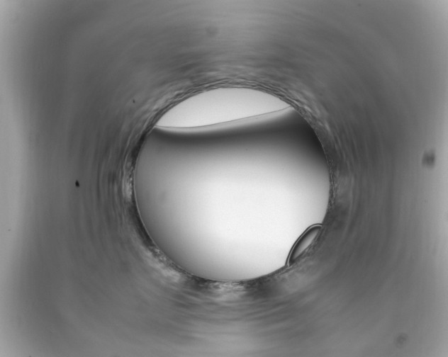 X0000092090719200709121126