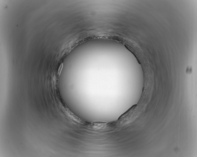 X0000092090720200709121126