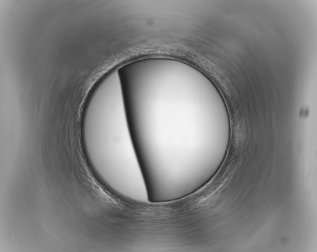 X0000092090721200709121125