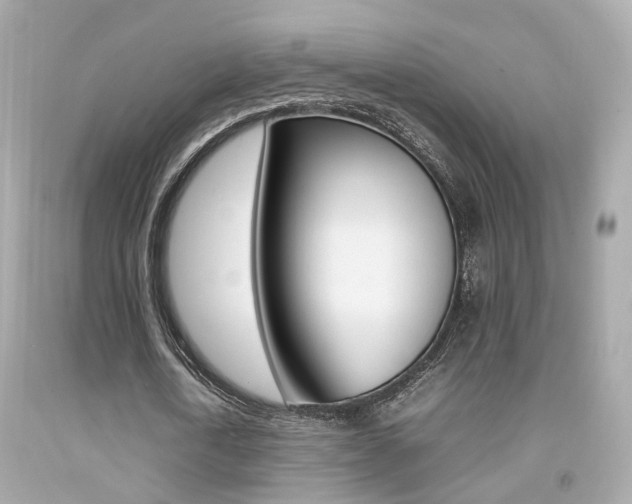 X0000092090722200709121125