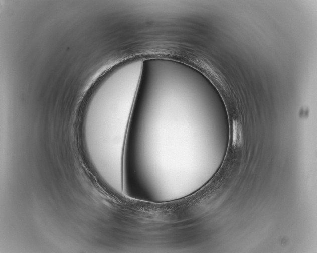 X0000092090723200709121125