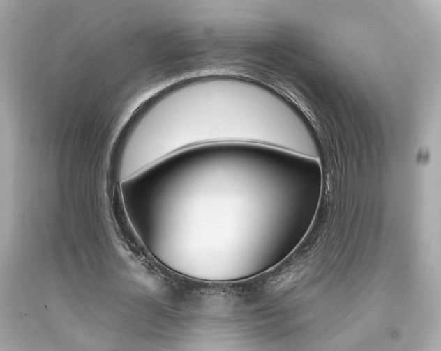 X0000092090724200709121125