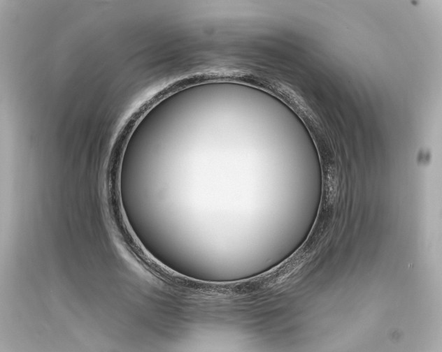 X0000092090726200709121125